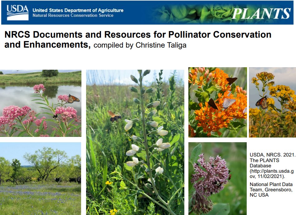 If you're interested in helping pollinators or just learning more about them, this is a great index of useful resources: bit.ly/3CpCSDn