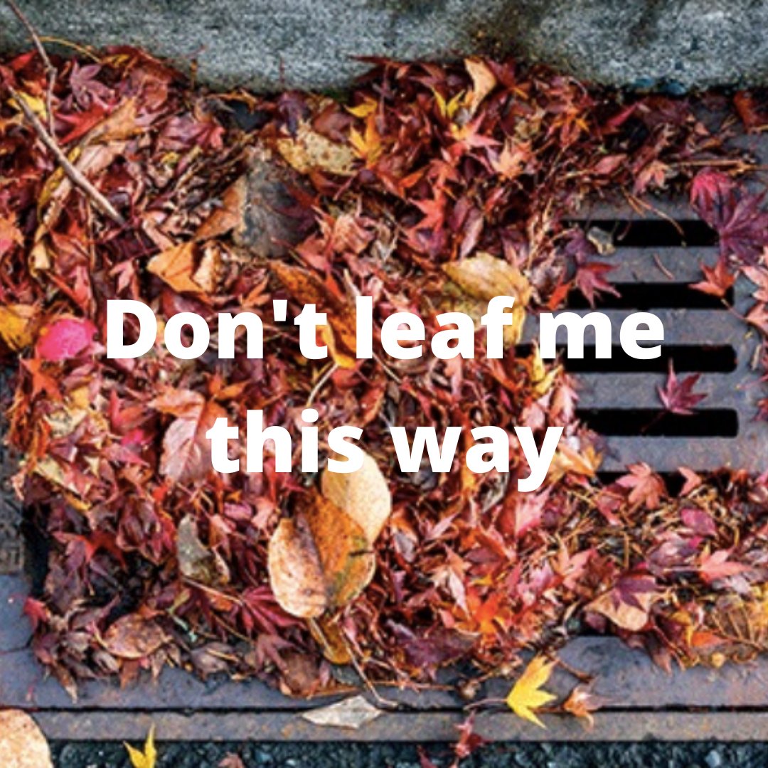 Adopt-a-Drain MN tweet media