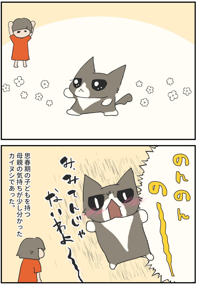 uchineko_phk's tweet photo. 我が家の春麗こと、キョンのお話し😄
目が合ったときに気まずいのは人も猫も一緒みたいです(笑)

#猫がいる生活 
#漫画が読めるハッシュタグ
#保護猫と暮らす https://t.co/sO6JEtDRnv