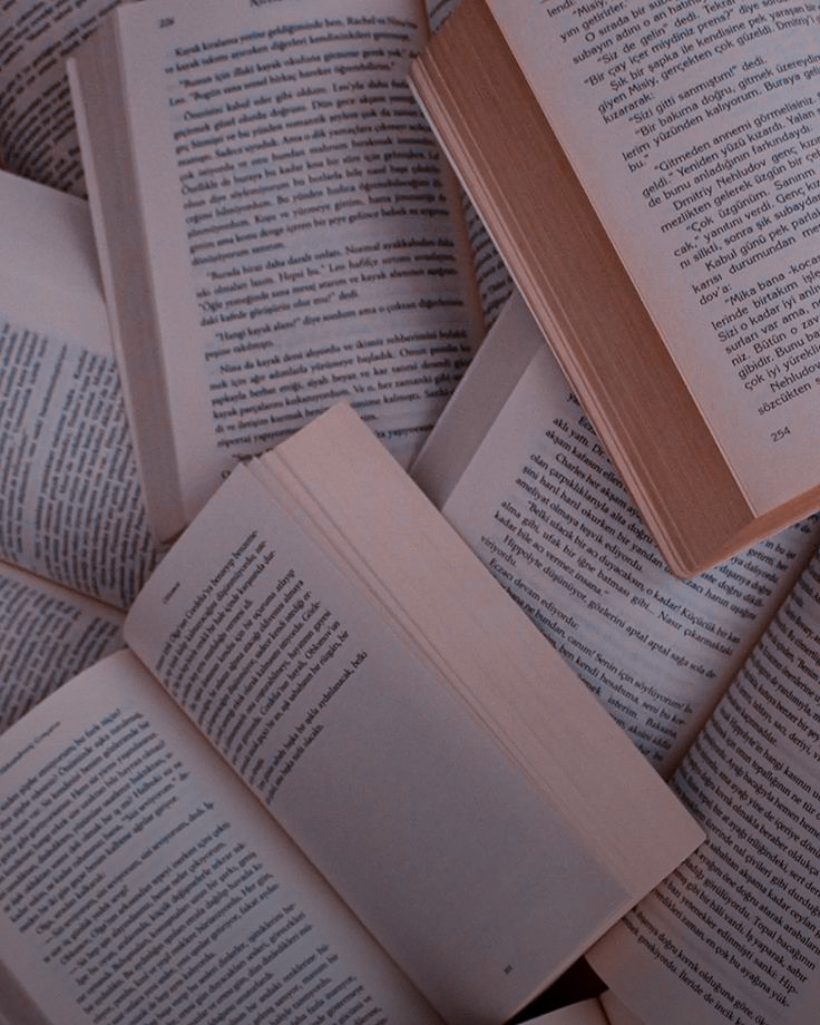 ailuj_lia's tweet photo. ♡ Livros lidos https://t.co/tfUtOraBO7