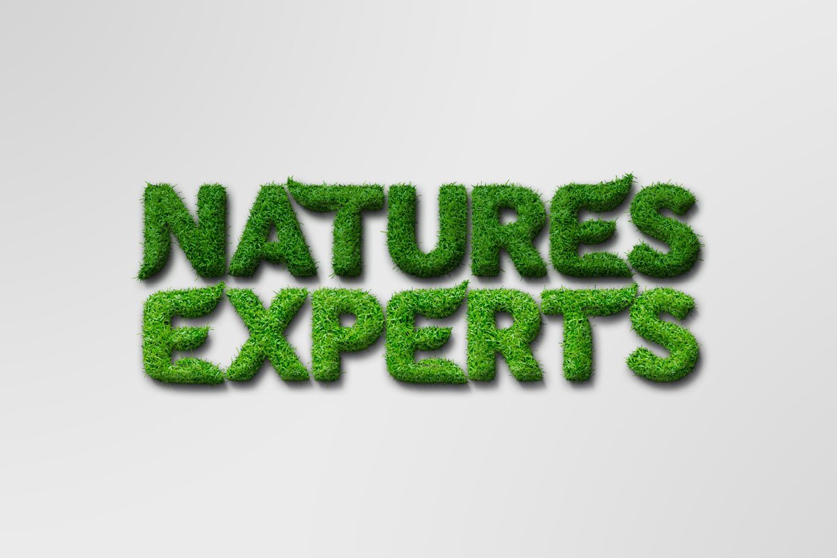 thinktamz's tweet photo. Build Brands. Create Cool. Think #organic 🍃🌿 https://t.co/WeKNFCaBvs