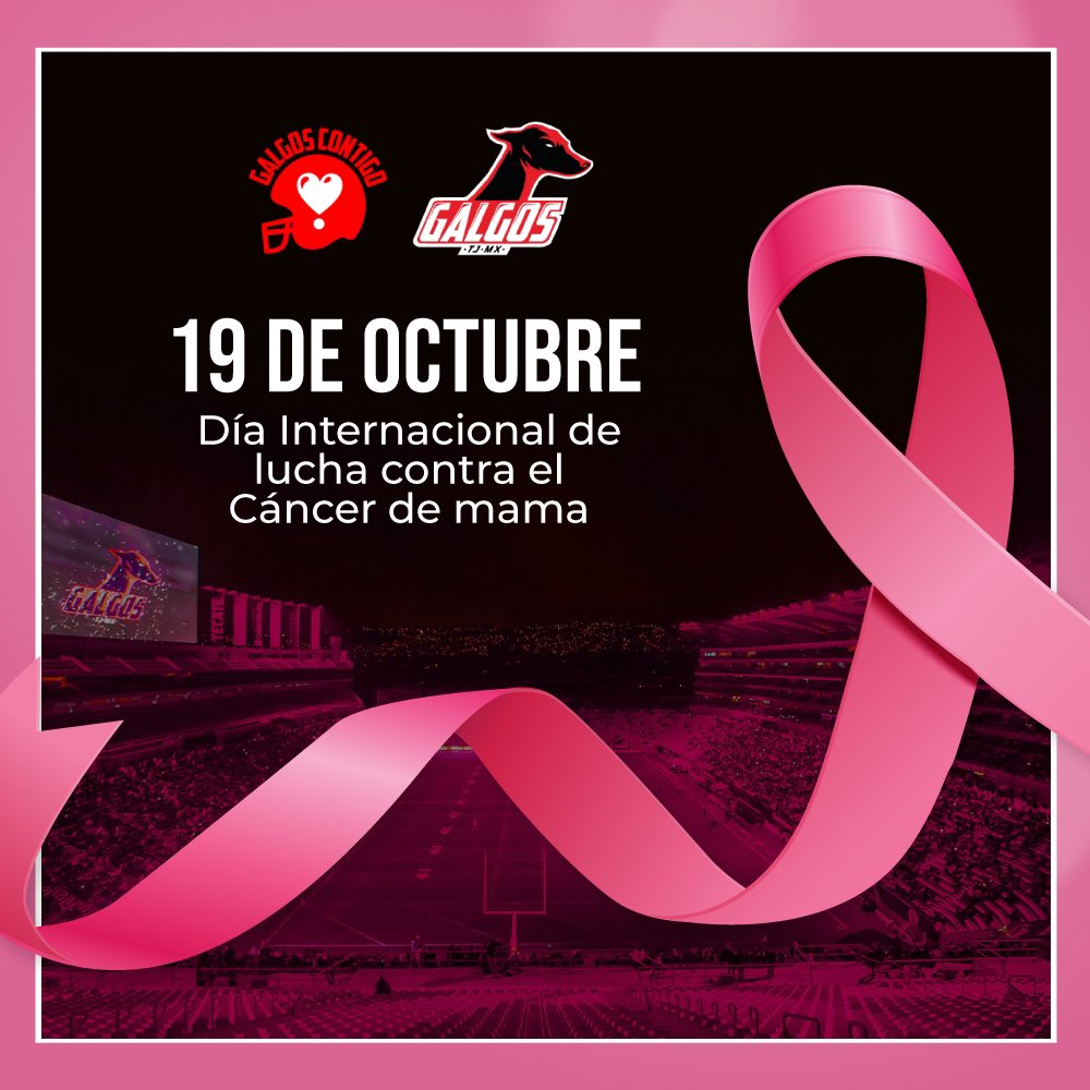 Galgos_LFA's tweet photo. El día de hoy conmemoramos el Día Internacional de la lucha contra el Cáncer de Mama🎀
Te recordamos que la detección temprana es el primer paso para ganar esta batalla💝
#GalgosContigo https://t.co/Zcgr9SUAss