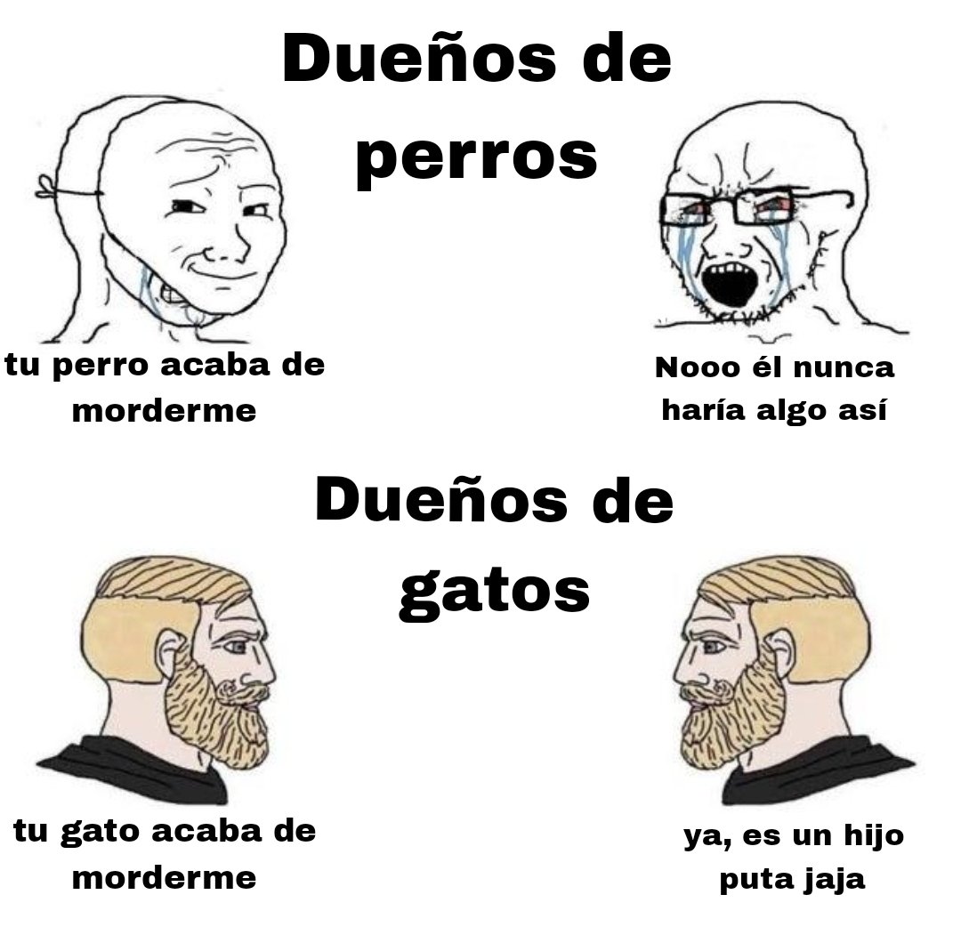 pedro (@xokaspov) on Twitter photo 
