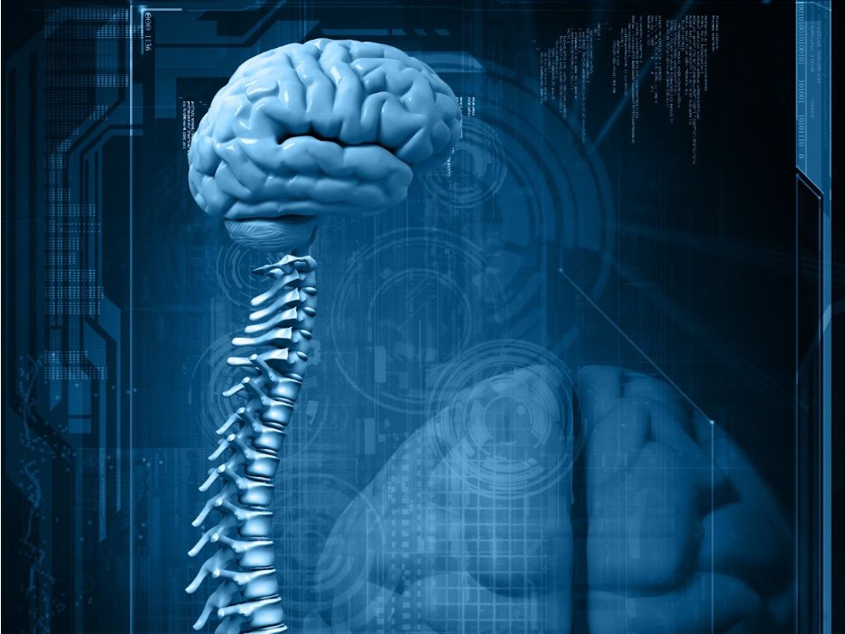 RogerFirestien's tweet photo. We all have made incorrect assumptions. Sometimes this can be harmless, sometimes this can cause a twelve-year-old boy to receive the equivalent of 1500 unnecessary chest x-rays. Read my October blog post to discover the danger of making assumptions: https://t.co/iJnTUGOKaZ https://t.co/T2s6Bn4Z0L