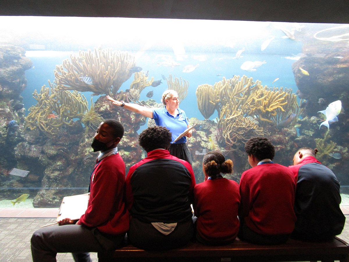 The Cedarbridge Academy STEM Signature class took their first field trip to the aquarium for the "Introduction to Science and Engineering Practices".nDuring this lesson, the students collected quantitative and qualitative data of the fish in the North Rock Tank.