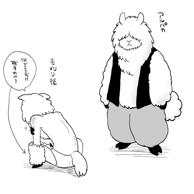 アルパカケモ♂ 
