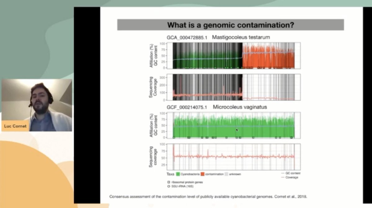 MicrobiomeVIF's tweet photo. NEXT, #MVIF selected talks: 

⭐️ @CornetLuc3
A guided tour into genomic contamination detection

1/3 https://t.co/aQ9hCQg6sS