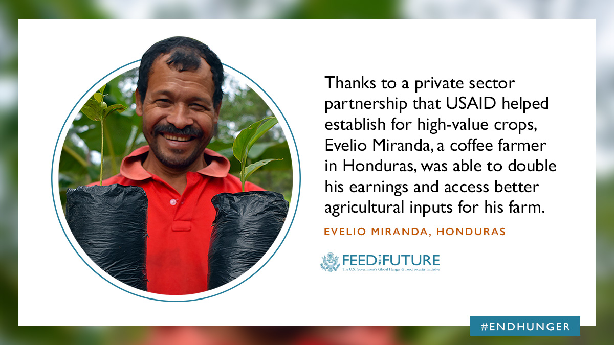 When coffee prices crashed in Honduras, Evelio Miranda was not deterred. With #FeedtheFuture's support, he diversified his crops & partnered with a local company to access new markets. Read to see how he rose to the challenge: ow.ly/NA0A50L8sv9 #WorldFoodDay
