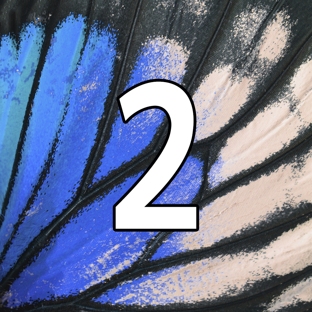 TheSpiritOfOne's tweet image. TWO days until we announce our newest addition to The Spirit of One range. What could it be?

#TheSpiritOfOne #New #Blue #Countdown