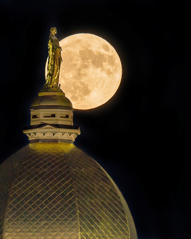 𝐦𝐢𝐝𝐧𝐢𝐠𝐡𝐭𝐬. 

#GoIrish