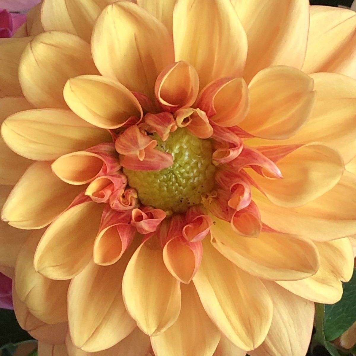 SChatto3's tweet image. ⁦@ricksammon⁩ ⁦@DebSandidge⁩ ⁦@ScottKelby⁩ ⁦@danhavlik⁩ ⁦@dpreview⁩ ⁦⁦@CanonUSAimaging⁩ 
Your choice  … today’s #superb #user_friendly #affordable #digital_photo_editing #softwares are our #artists_brushes.
We should utilize them.
- SChatto