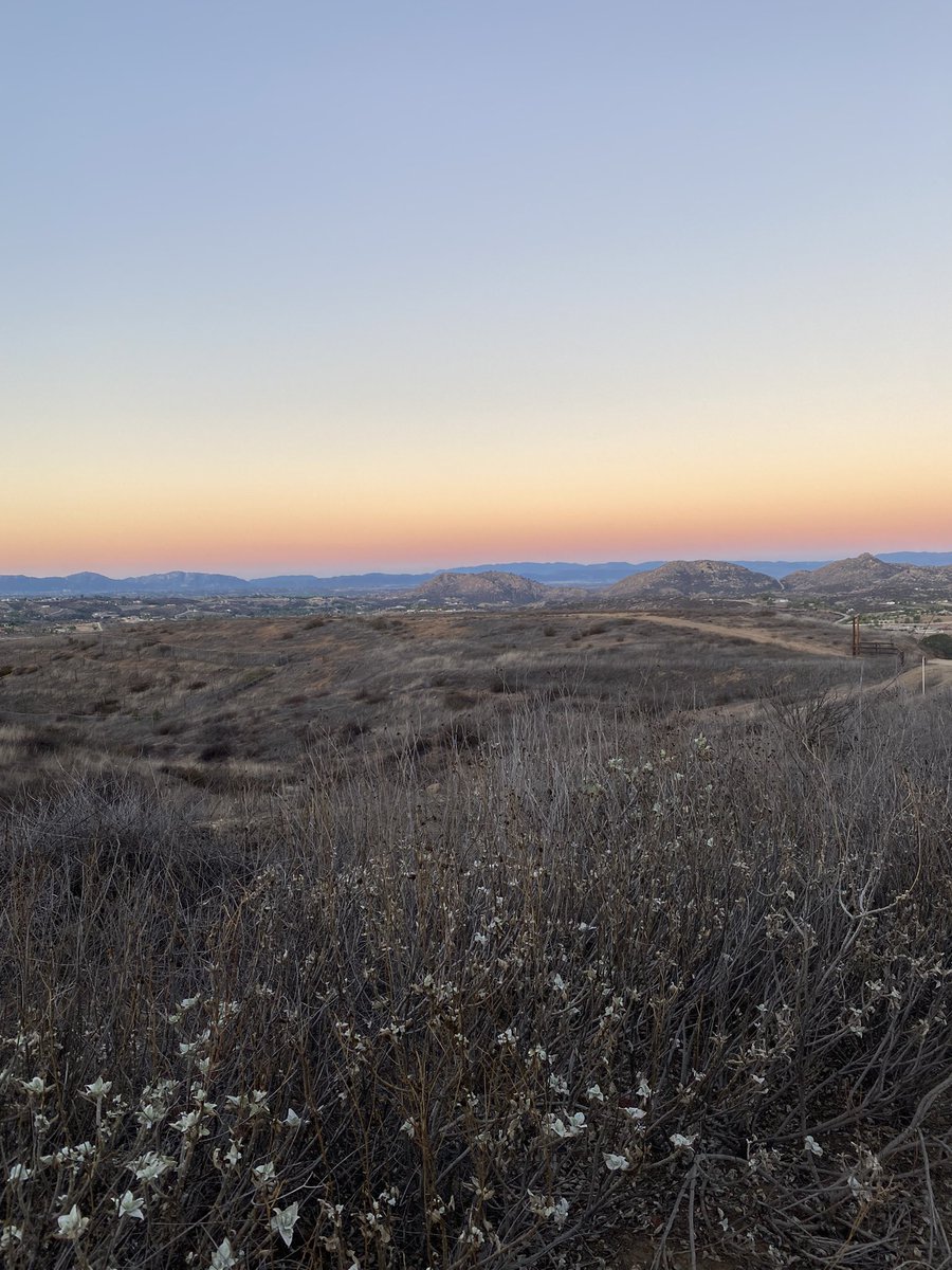 AkashWinery's tweet photo. Good Morning from Temecula Wine Country #temeculawinecountry #visittemecula #akashwinery #visitcalifornia https://t.co/zsWBG3lF22