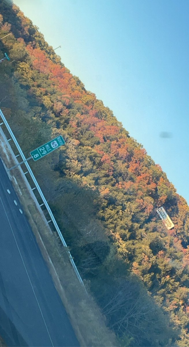I love that it’s looking like fall 🍂