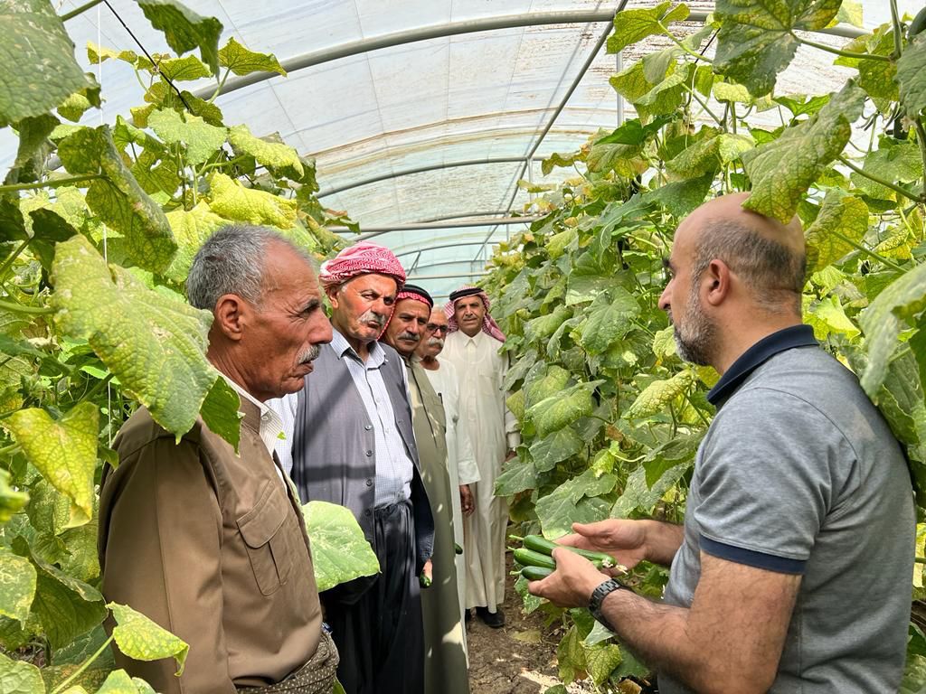 ضمن مشروع تطوير البستنة في العراق, تم تنظيم زيارة حقلية في اربيل  ل29 مزارع من .محافظة الموصل بهدف اطلاعهم على الممارسات والعمليات الزراعية في البيوت المحمية 

#development #agriculture #irrigation #Erbil #farmers #greenhouses #training #horticulture #mosul #Iraq