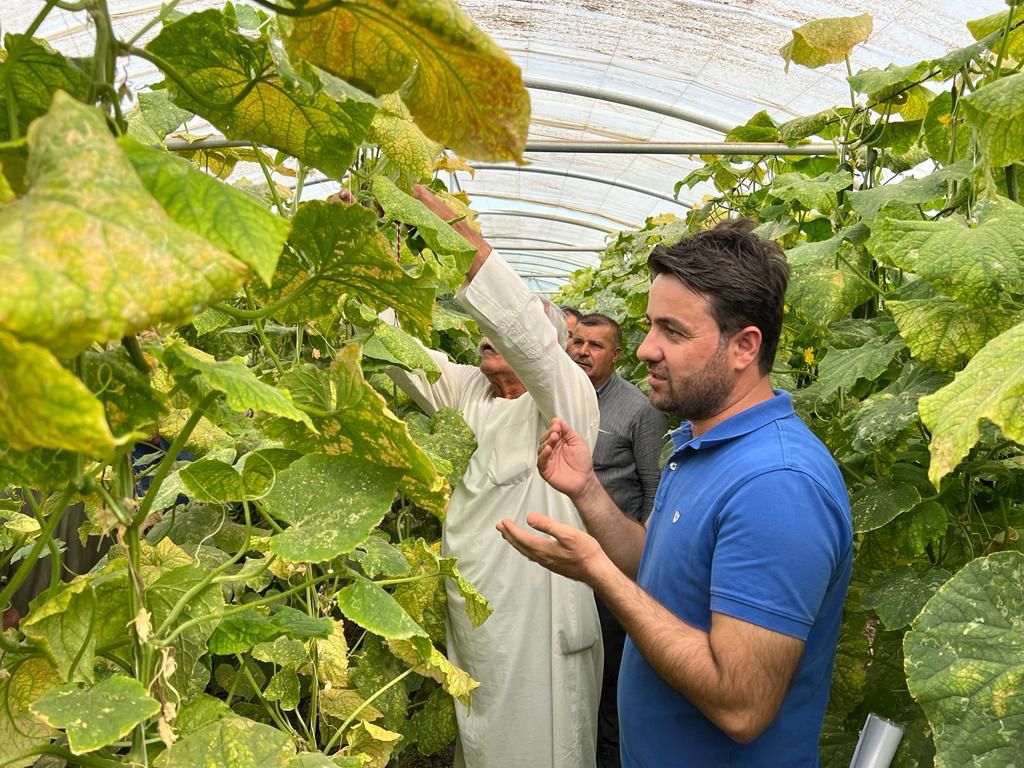 Ecoconsultjo's tweet photo. ضمن مشروع تطوير البستنة في العراق, تم تنظيم زيارة حقلية في اربيل  ل29 مزارع من .محافظة الموصل بهدف اطلاعهم على الممارسات والعمليات الزراعية في البيوت المحمية 

#development #agriculture #irrigation #Erbil #farmers #greenhouses #training #horticulture #mosul #Iraq https://t.co/131T6H8RY2
