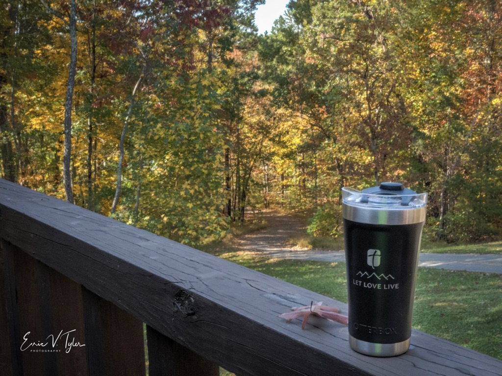 I LOVE this time of year