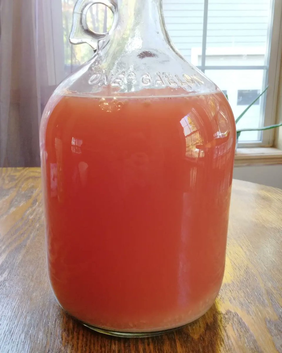 KnightDivining's tweet photo. Mead Update: Finally got 95% of the raspberries out of the carboy (mesh bag next time.. ugh) so now I'll let it sit for a few days to settle and then rack into the new fermentation jar.
#mead #honeymead #honeywine #nectarofthegods #meadmaking #raspberrymead #newhobby https://t.co/YolPhgKD9N