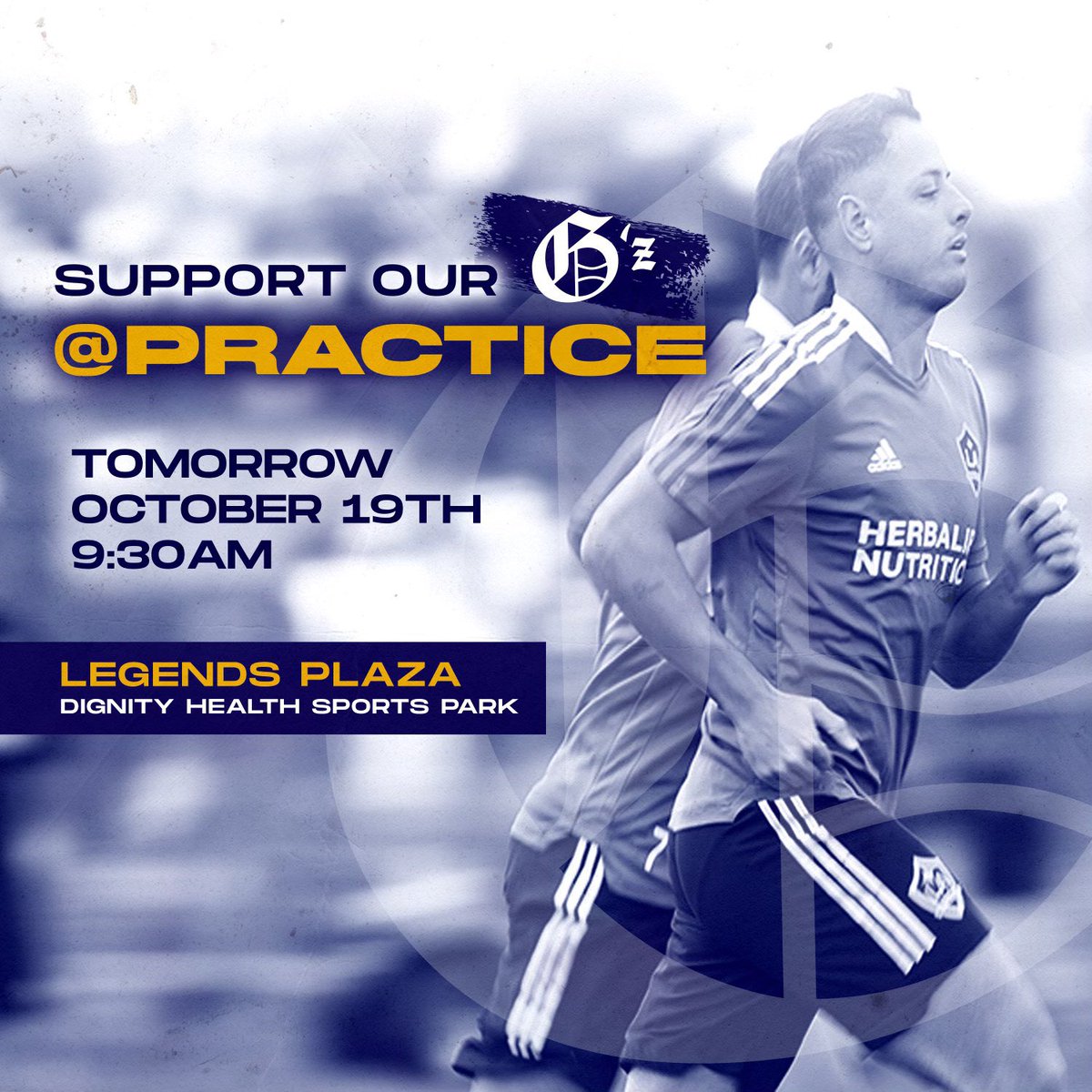 Angel City Brigade tweet media