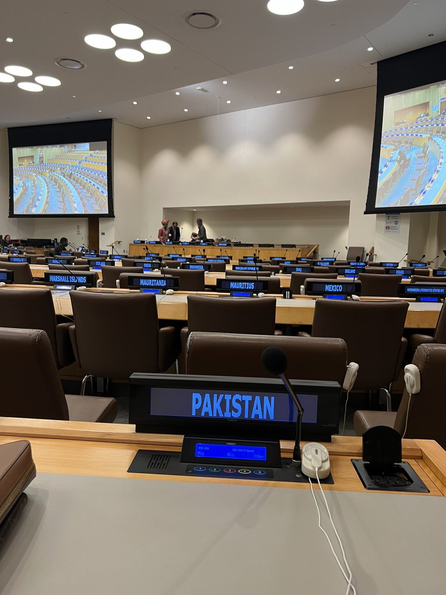 Shanzaf's tweet image. Had the honour of presenting Pakistan’s statement on enforced disappearances in Indian Illegally Occupied Jammu and Kashmir during the United Nations General Assembly session.
Will be representing Pakistan here for the next two weeks 🇵🇰 🇺🇳