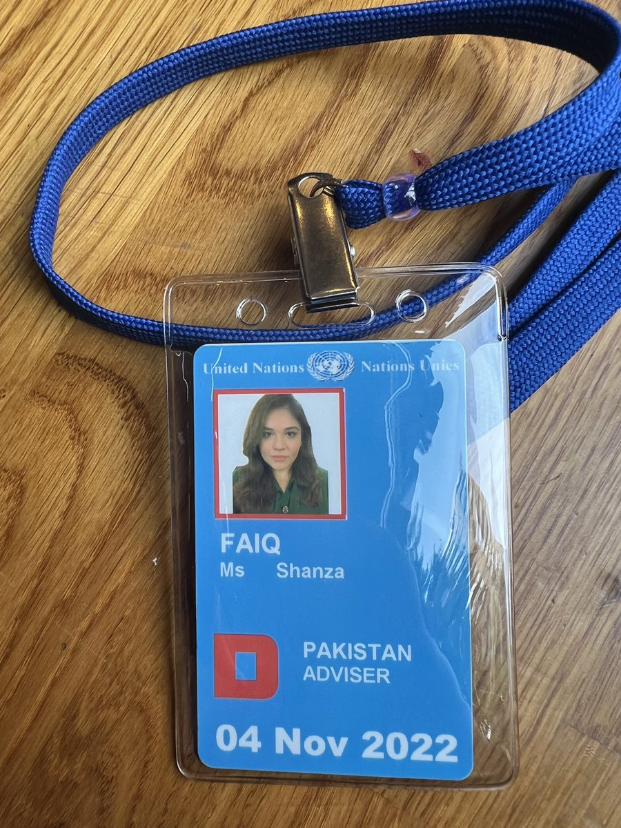 Shanzaf's tweet image. Had the honour of presenting Pakistan’s statement on enforced disappearances in Indian Illegally Occupied Jammu and Kashmir during the United Nations General Assembly session.
Will be representing Pakistan here for the next two weeks 🇵🇰 🇺🇳