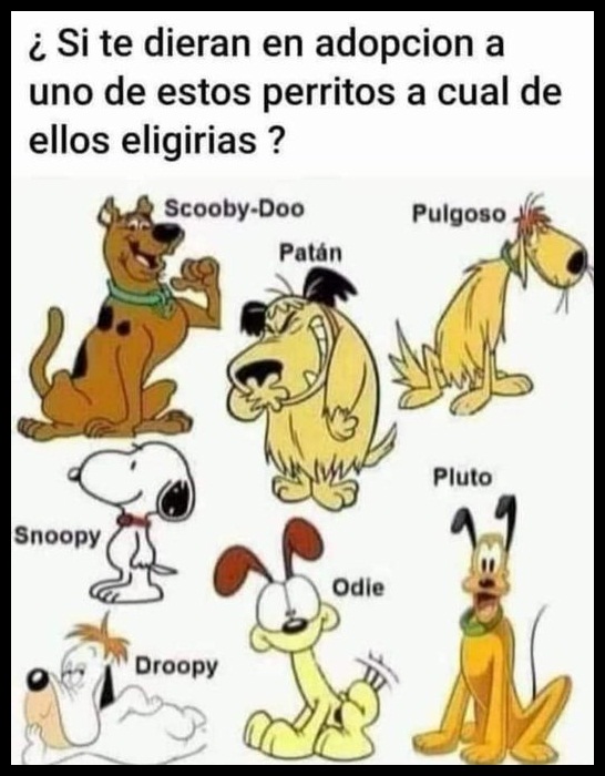 Doctor_Blue_Box's tweet photo. ¿Cuál adoptarían? 😆 https://t.co/Kw8JqdP1MD
