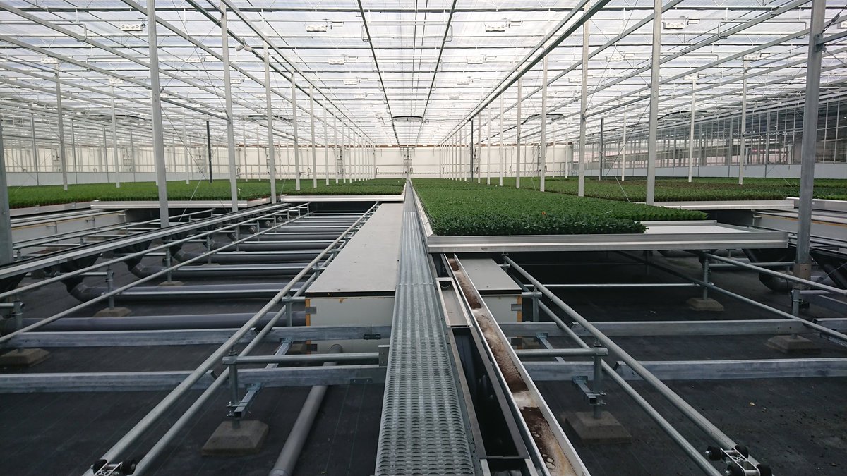 Reezyard's tweet photo. Een kijkje in de kas van de toekomst.
Geconditioneerde lucht wordt via een klimaatkamer onderaf de kas ingebracht. Alles is nieuw ontworpen in dit type kas.
Minder input met meer output. Nederlands lef en vernuft. Innovatie staat hoog in onze tuinbouwsector. ๐ฟ
#Kas2030 https://t.co/GnrDkfobuf