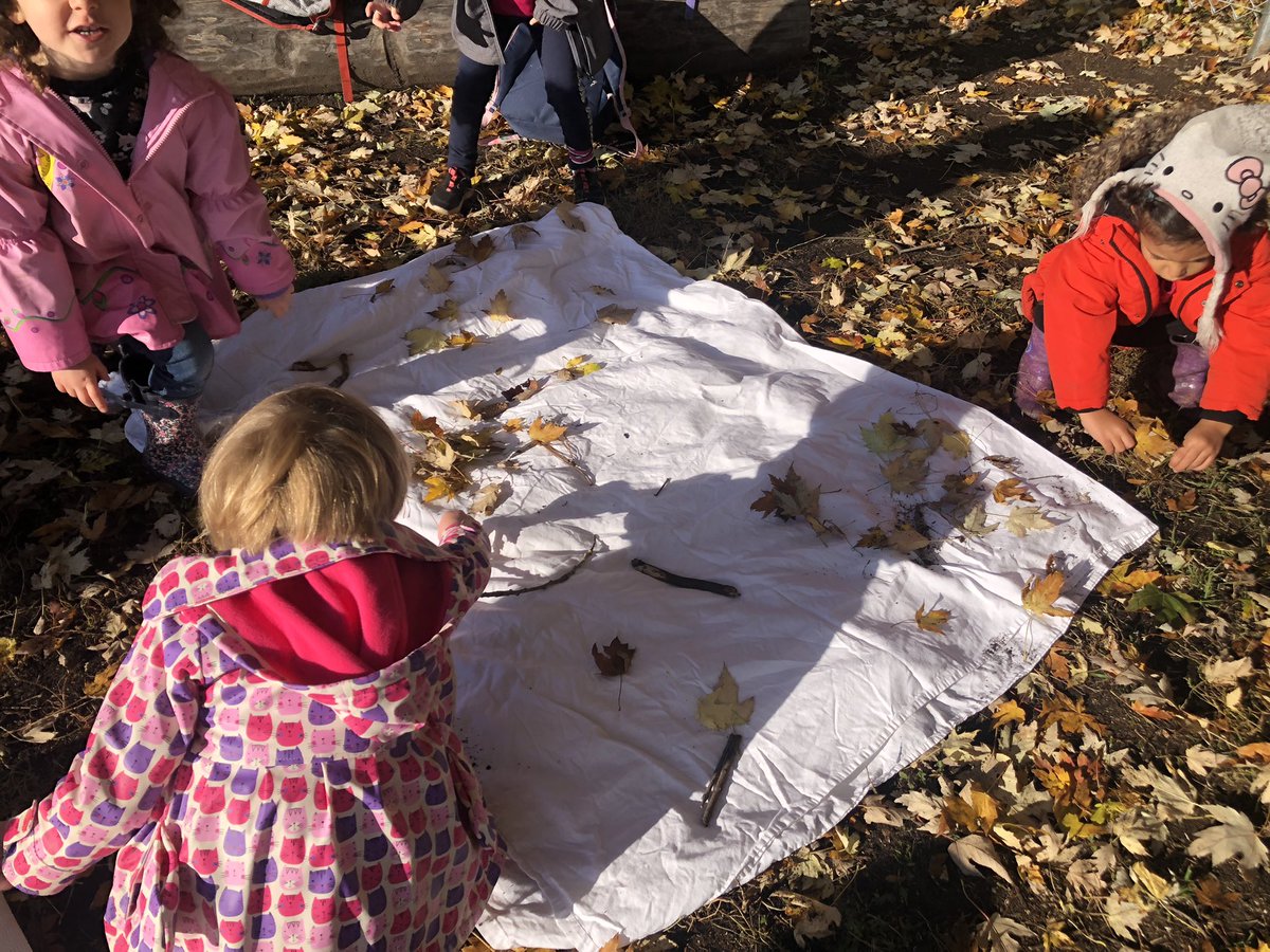 Dr. F.J. Kindergartens tweet media