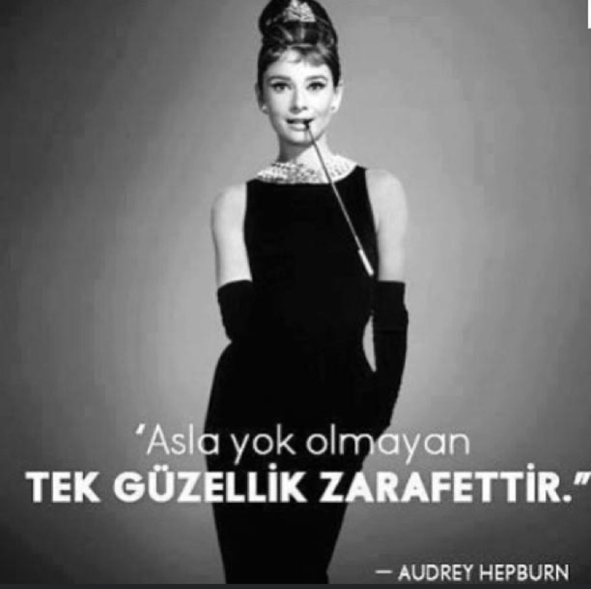 dryasemin's tweet photo. Protokolde nezaket ve zarafet ister…
#protocoll #protokol #zarafet #audreyhepburn https://t.co/4y9fbLawf7