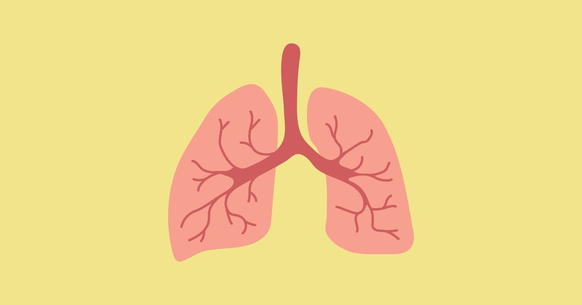 ElliiLearning's tweet photo. NEW in our Academic Vocabulary section: The Respiratory System (available in print or digital formats) https://t.co/IYPYSdMgSP #ELT #Biology #PairWork #diagram https://t.co/xYuTG7bLBg