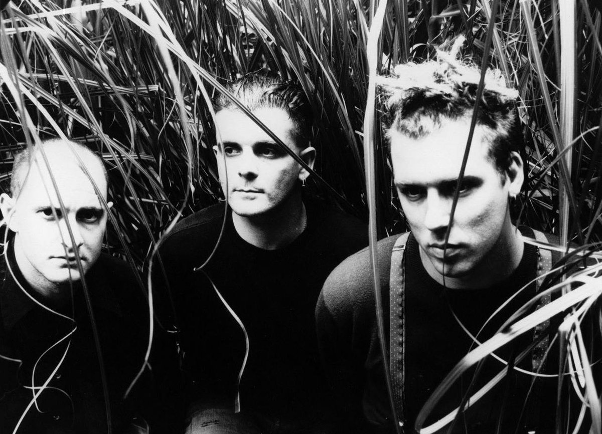 Le #PostPunk et le #Flamenco, ça marche selon vous ? Découvrez le groupe #TheWolfgangPress qui a rendu ça possible : bit.ly/3D6tgz1 #4AD