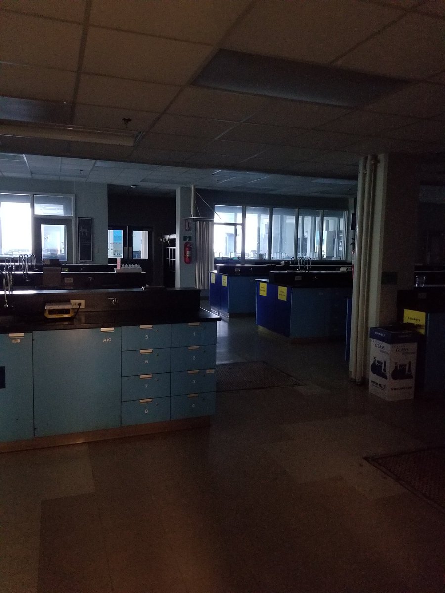 Point of View of the <a href="/ConceptsChemDal/">First-Year Chem@Dal</a> 10:30AM lab session 💔 This morning 95% of our lab team (43 @CUPE3912 members) began their strike at <a href="/DalhousieU/">Dalhousie University</a>. Our CUPE colleagues are integral to the successful delivery of our lab program to 1500 students. #solidarity #DalStrike