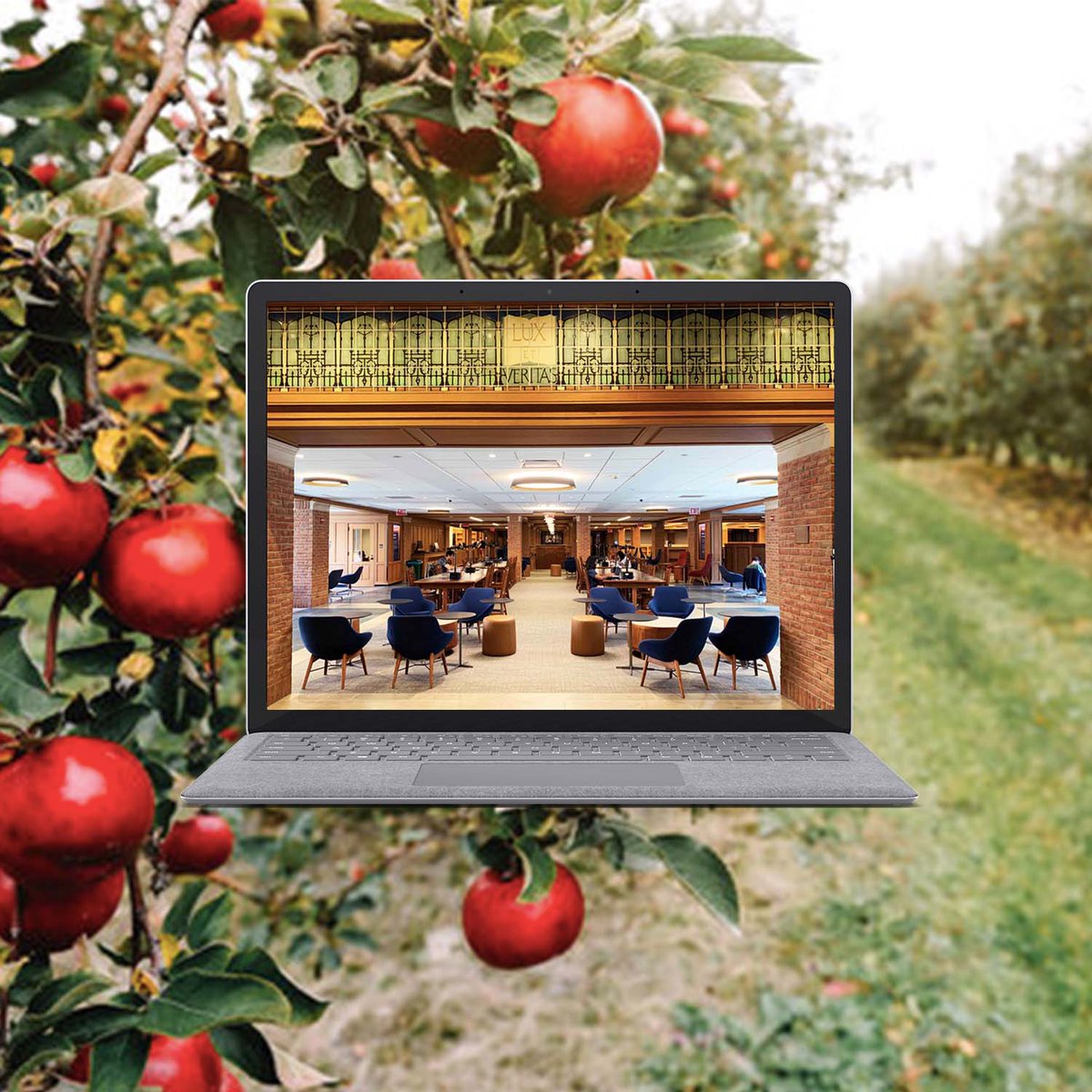 If you're going away for October break, whether to go apple picking or to a coffee shop, take us with you! To access e-resources off-campus, simply start your search at library.yale.edu.

We recommend 📘 Overdrive for e-books &amp; audiobooks and 📽️ Kanopy for streaming video.