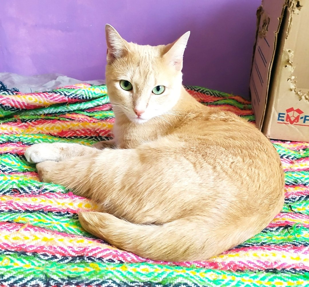 Germán B. tweet media