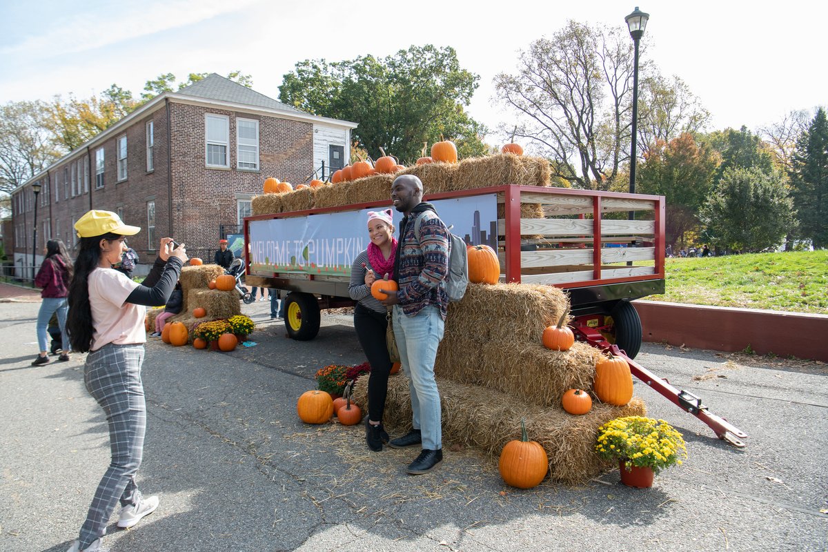 Gov_Island's tweet photo. Whoโs ready for #PumpkinPoint 2022 starting SATURDAY on Governors Island? ๐๐๐
Take home a pumpkin for free and enjoy fall-themed activities, performances & treatsโOctober 22-23 & 29-30, 10am-5pm in Nolan Park. Plan your visit: https://t.co/X7XQw2hxgl
๐ท: Julienne Schaer https://t.co/mZjlpAvZNy
