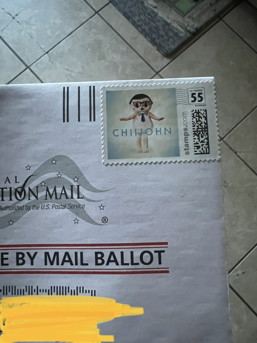 honeyybark's tweet photo. Very excited to #vote with one of my @LastWeekTonight #chiijohn stamps 🧐 https://t.co/gOyO5NlN03