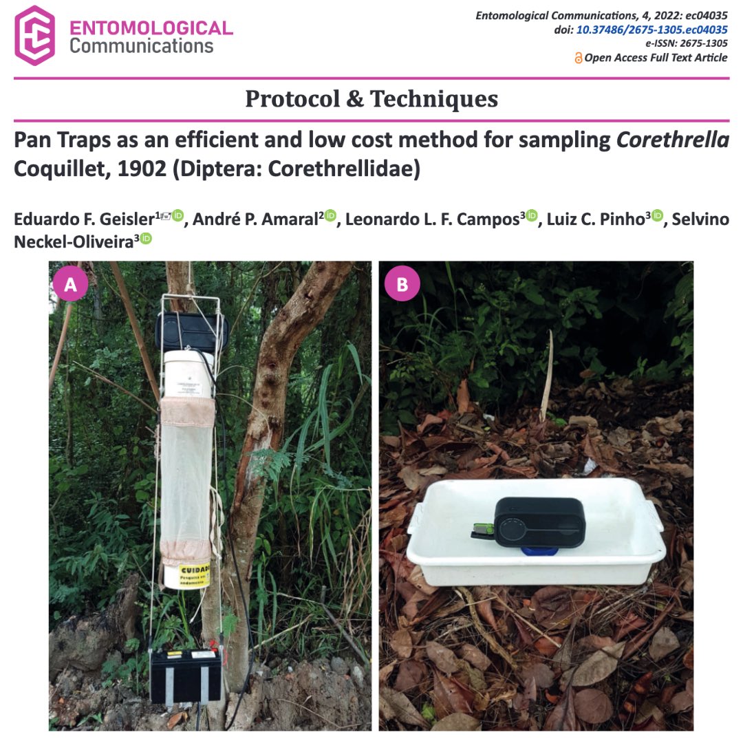 EntomologicalC's tweet photo. Pan Traps as an efficient and low cost method for sampling Corethrella Coquillet, 1902 (Diptera: Corethrellidae)
 
https://t.co/WiwDzAZ4ql

#entomologicalcommunications #entcom #seb #protocolandtechniques #diptera #corethrellidae #pantrap #sound https://t.co/3WexEEtLpY