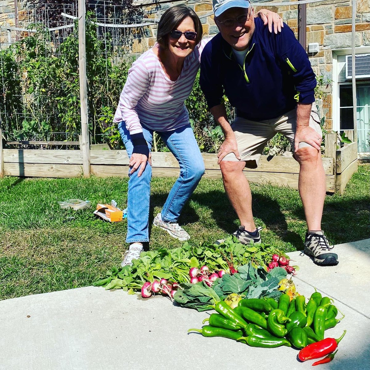 WeeKirk_CPC's tweet photo. This weeks garden harvest of 11.5 lbs bringing years total to 303 lbs!  WOW!!!!!!  Lots of Radishes 
#pcusa https://t.co/x6wFoMcY2d