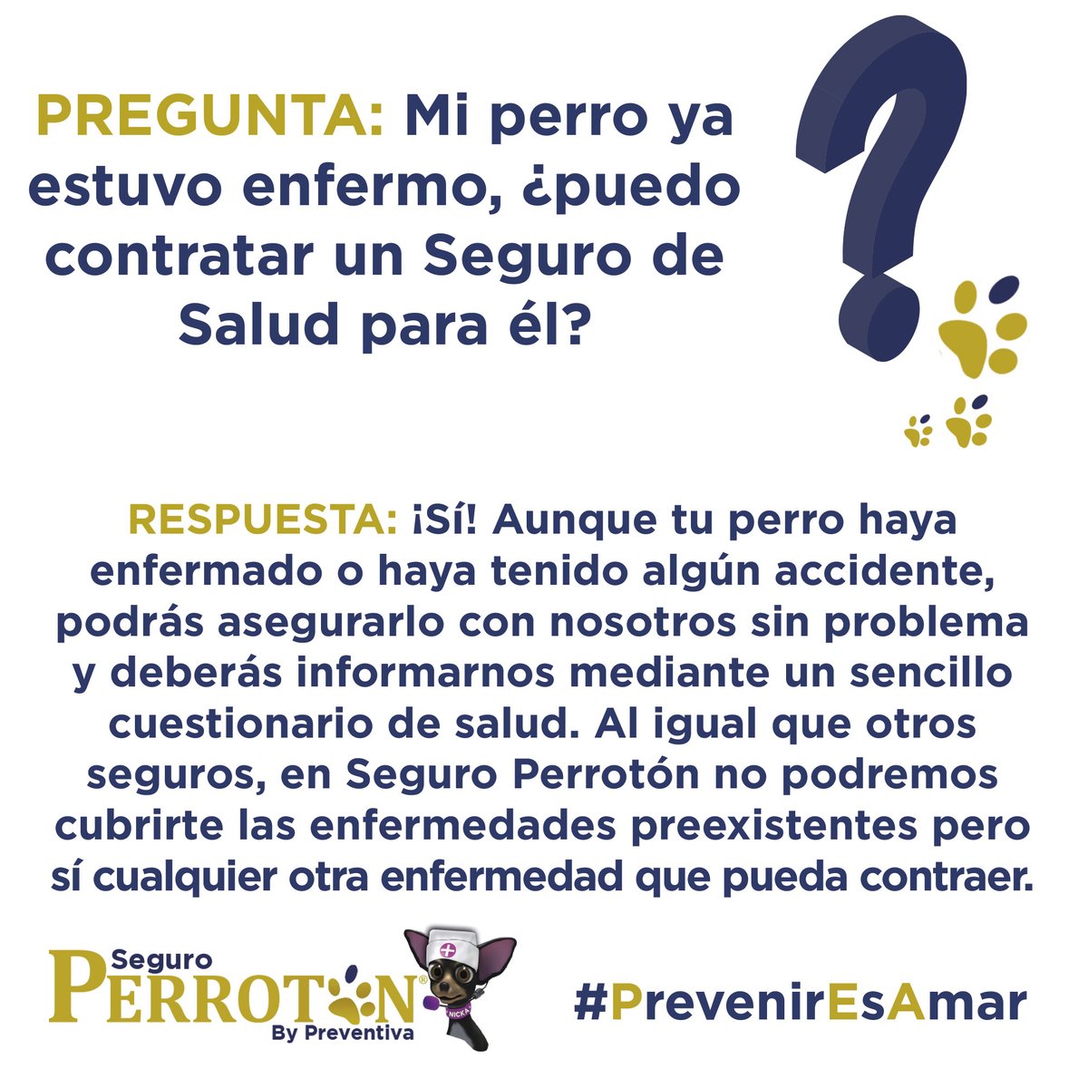 SeguroPerroton's tweet photo. Siempre en el veterinario que elijas y sin que el precio de tu seguro varie al año que viene, en Seguro Perrotón cubriremos cualquier asistencia veterinaria que precise por accidente o enfermedad 🐶❤️

💻 https://t.co/YIAgyXOqyH https://t.co/btxjFDLFym