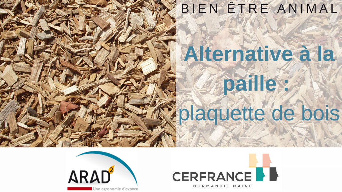 ARAD2_cerfrance's tweet photo. #ARAD2| Découvrez comment l'utilisation en litière de bois déchiqueté permet à Gilles d'économiser du temps et de l'argent, et de valoriser ses haies bocagères

A regarder ➡️ https://t.co/1DG68iUSFv

@CerfranceOrne @CERFRANCE1450 @Cerfrance_5372 @Cerfrance_sn @perigconsultant https://t.co/fZyFRn5JTl