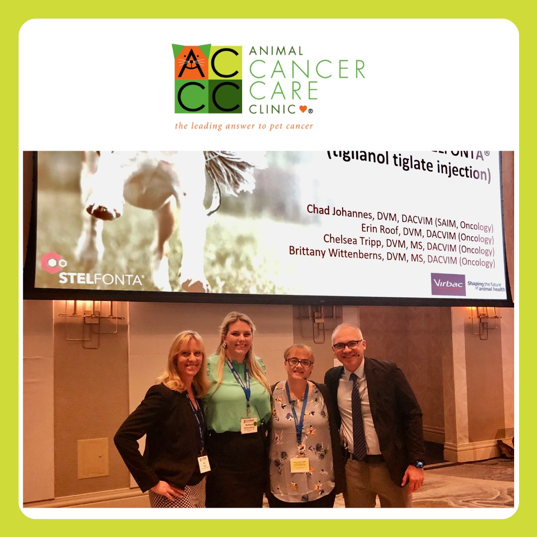 PetCancerCare's tweet photo. ACCC's own Erin Roof, DVM, DACVIM, Board-Certified in Oncology (left), recently spoke at the Veterinary Cancer Society's Annual Conference. The more than 1,000 member  organization brings specialists who share a passion for understanding, preventing and treating cancer in pets. https://t.co/C9t6duY0ee