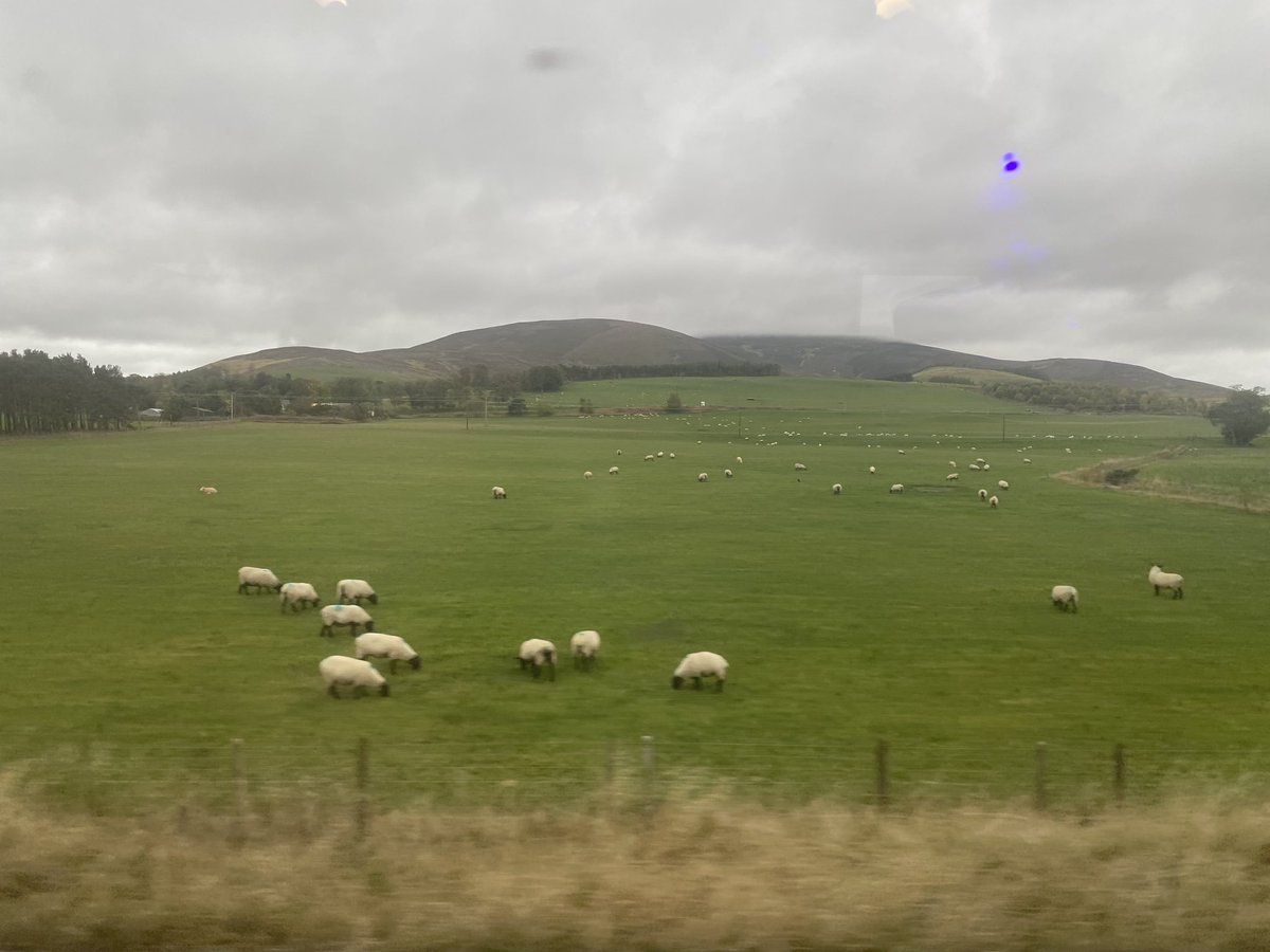 Mark Ballard tweet media