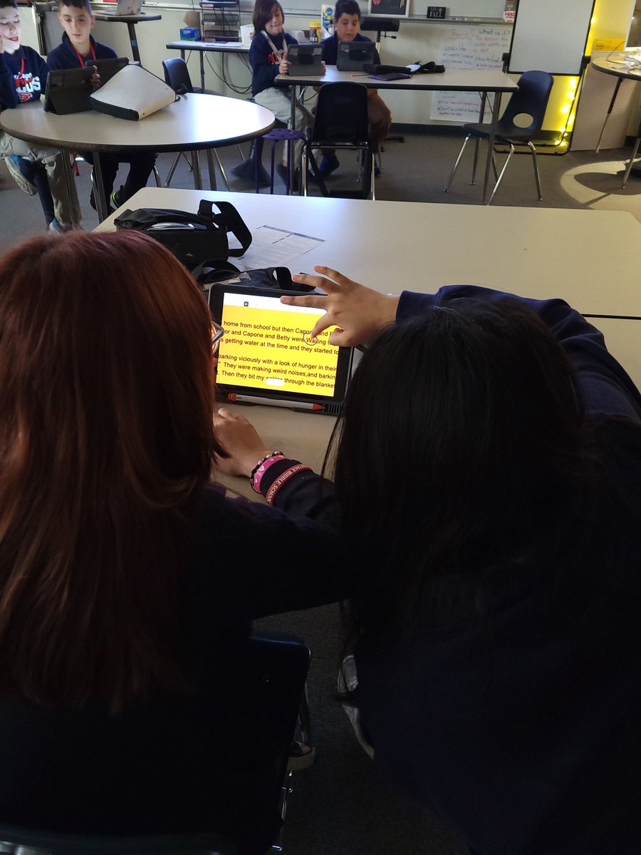 Darcy Anne tweet media