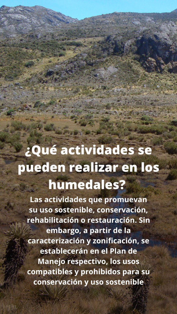 HermanAmayaT's tweet photo. ¡Todo sobre los humedales, su caracterización, usos y datos importantes! https://t.co/OGCNaoQPbd