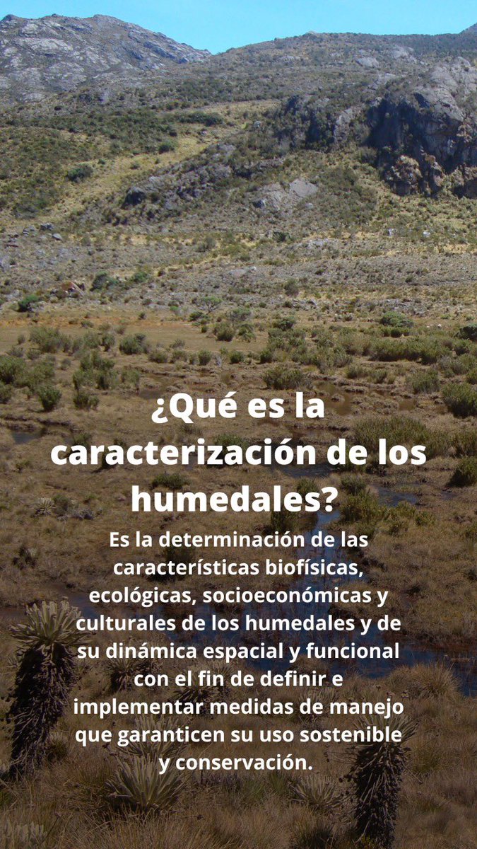 HermanAmayaT's tweet photo. ¡Todo sobre los humedales, su caracterización, usos y datos importantes! https://t.co/OGCNaoQPbd