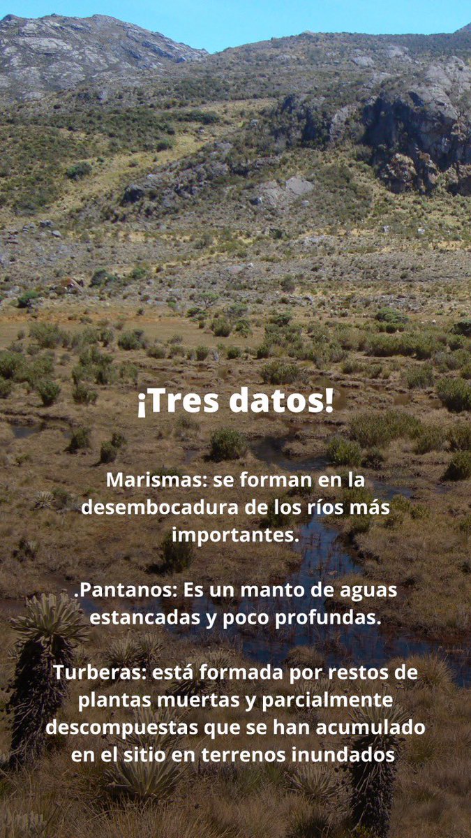 HermanAmayaT's tweet photo. ¡Todo sobre los humedales, su caracterización, usos y datos importantes! https://t.co/OGCNaoQPbd
