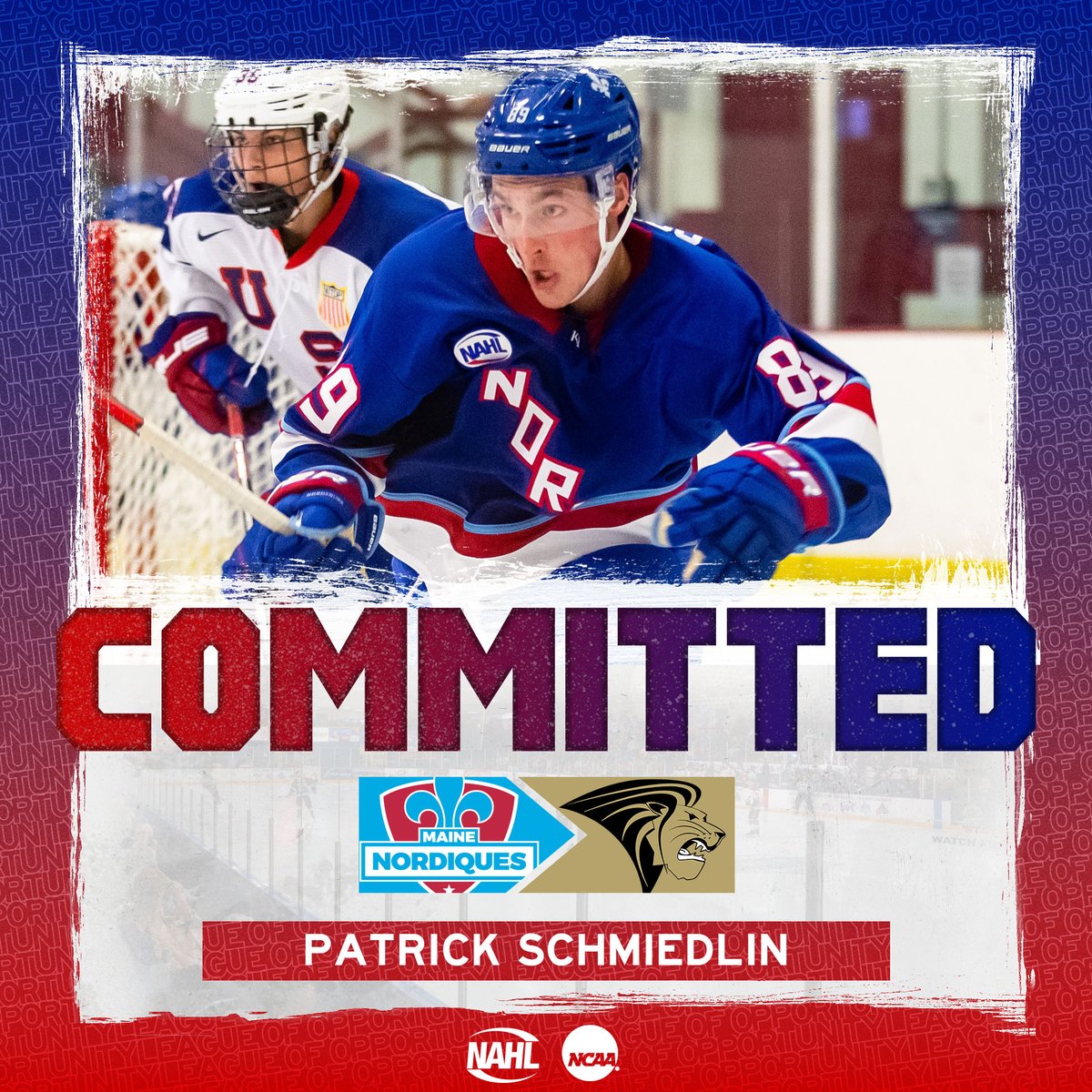 #NAHL Commitment Alert: <a href="/MaineNordiques/">Maine Nordiques</a> forward Patrick Schmiedlin has committed to play NCAA Division I <a href="/collegehockey/">College Hockey Inc.</a> for <a href="/LULionsHockey/">Lindenwood Hockey</a> #MadeintheNA nahl.com/news/story.cfm…