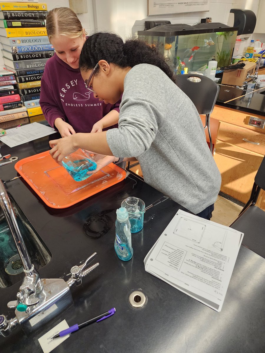 CParsio's tweet photo. Modeling the cell membrane phospholipid bilateral. Making structural and functional connections! @SomervilleHSNJ Love my #APBio students #MsPScience #GoonSquad https://t.co/KTXVQ5jqpQ