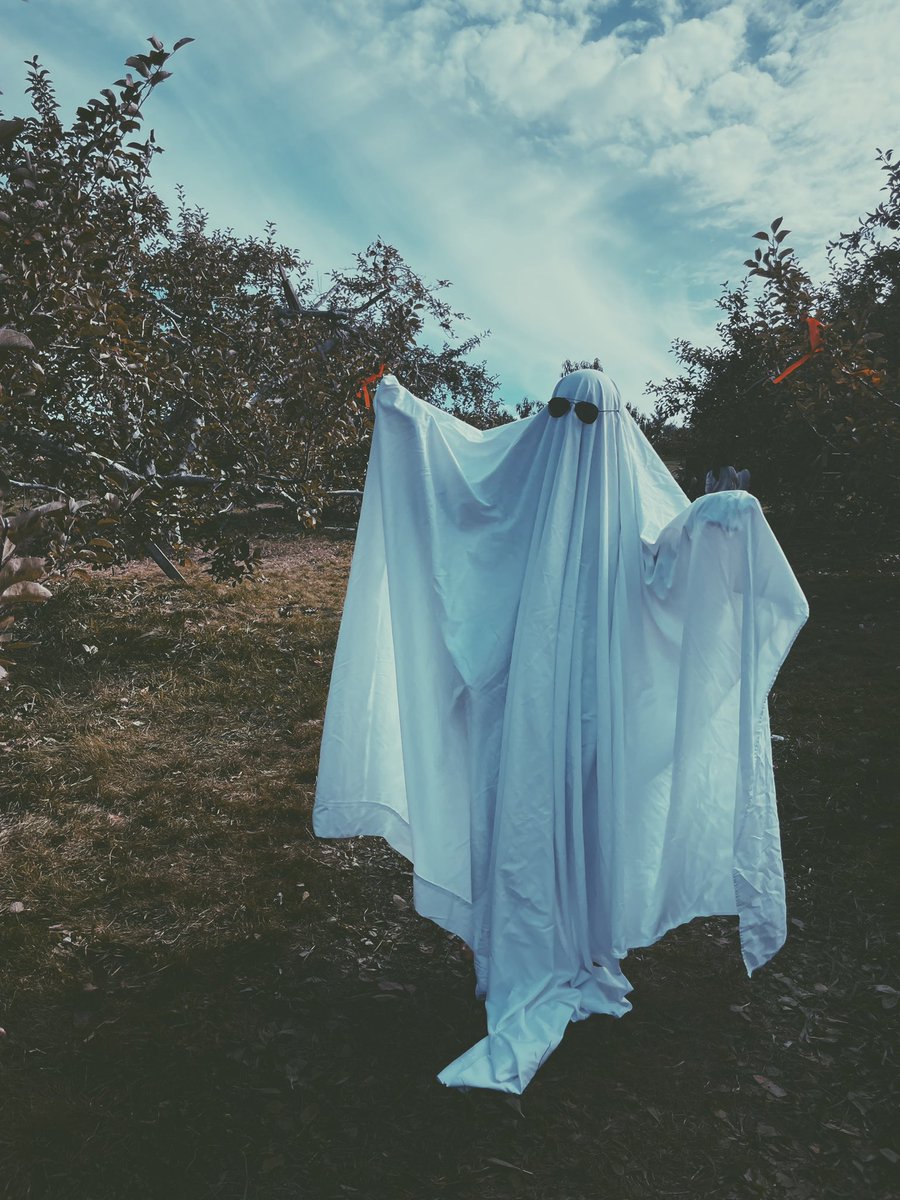 thefaylab's tweet photo. Spooked by model results, lab members, @ahartofthesea @elmarmills @LucyMcGinnis @Titidae @catalinaroman_v, decided to haunt @Honeypothill instead. You know what they say about work-{after}life balance! 

Check out our reel on Instagram! https://t.co/rS0sA1PWy3 https://t.co/R2mkrrnpDG