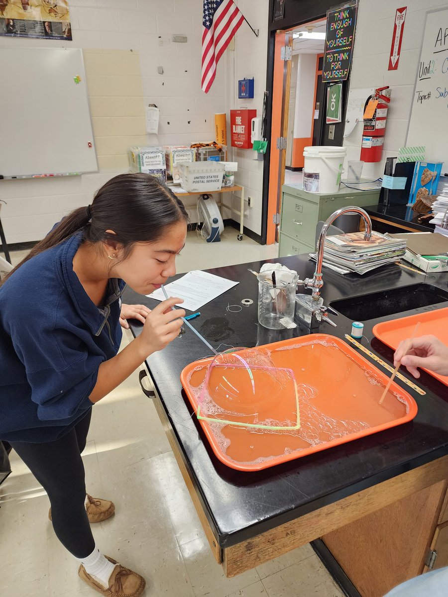 CParsio's tweet photo. Modeling the cell membrane phospholipid bilateral. Making structural and functional connections! @SomervilleHSNJ Love my #APBio students #MsPScience #GoonSquad https://t.co/KTXVQ5jqpQ