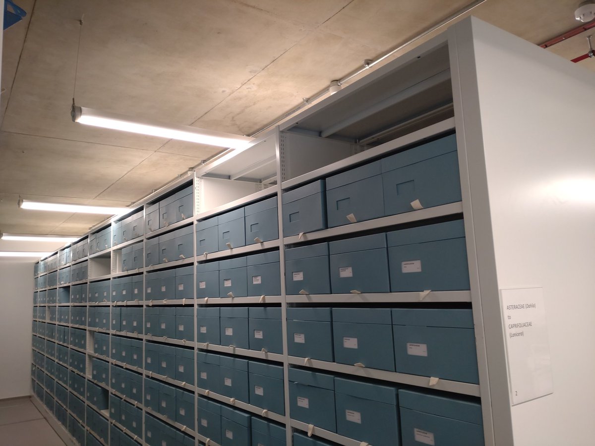 Andy Salisbury tweet media